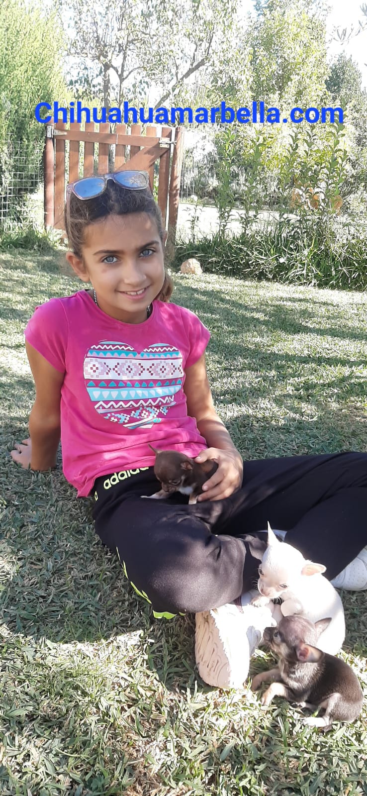 Las mascotas y niños